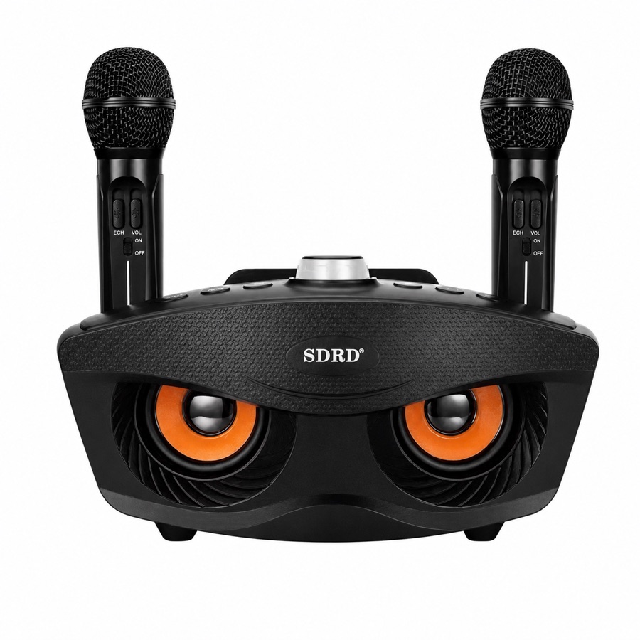 Wireless Bluetooth karaoke speaker with two microphones